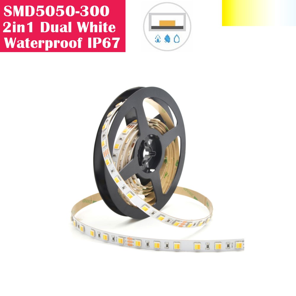 5 Meters SMD5050 Waterproof IP67 300LEDs 2 in 1 Dual White Color Flexible LED Strip Lights