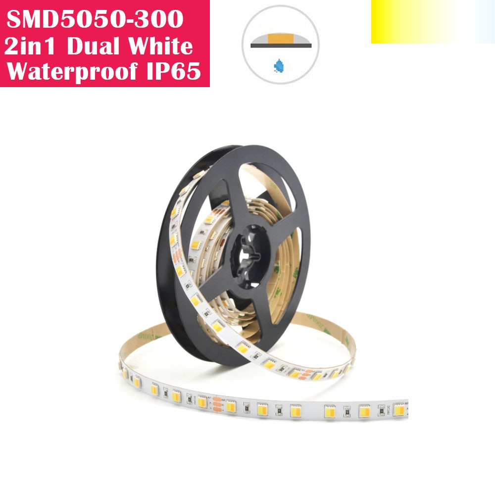 5 Meters SMD5050 Waterproof IP65 300LEDs 2 in 1 Dual White Color Flexible LED Strip Lights