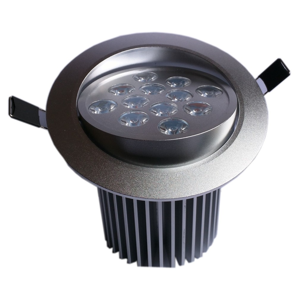 Directional 12W (Twelve 1 watt) LED Downlight with Driver Included Silver Finish