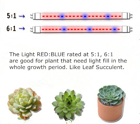 Red blue deals grow lights