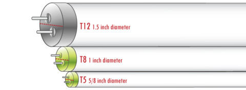 difference in t12 and t8 bulbs